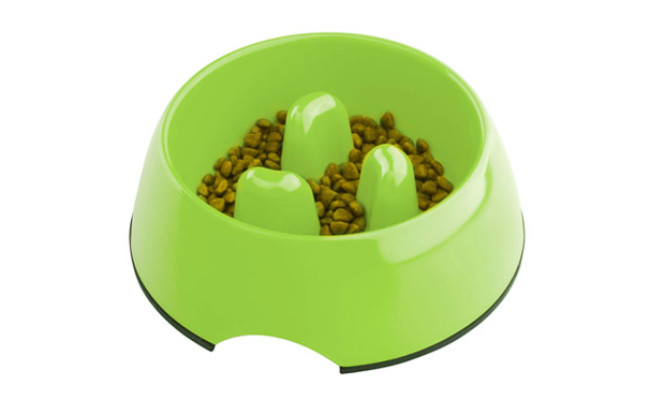 Super Design Anti Gulping Dog Bowl Slow Feeder