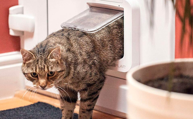 SureFlap Microchip Cat Flap