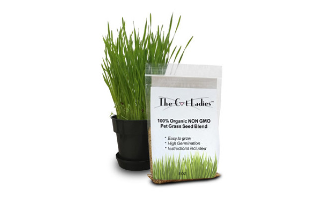 The Cat Ladies Organic Cat Grass Seeds