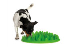 The Company of Animals Green Slow Feeder Dog Bowls