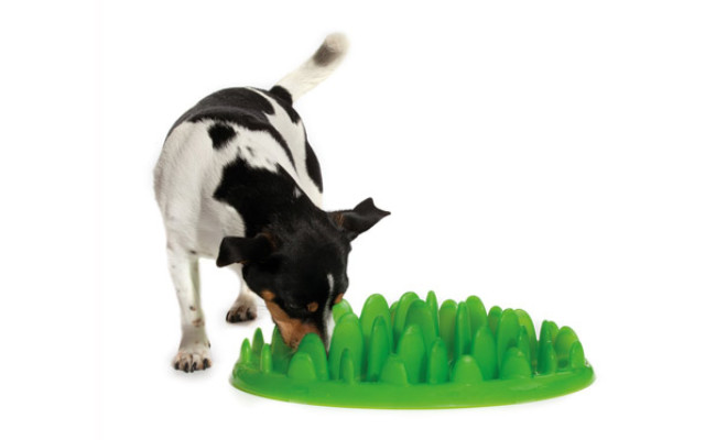 The Company of Animals Green Slow Feeder Dog Bowls