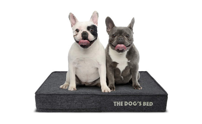 The Dog’s Orthopedic Dog Bed