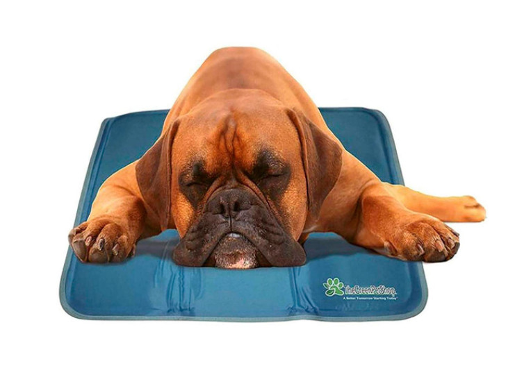 green pet cooling mat