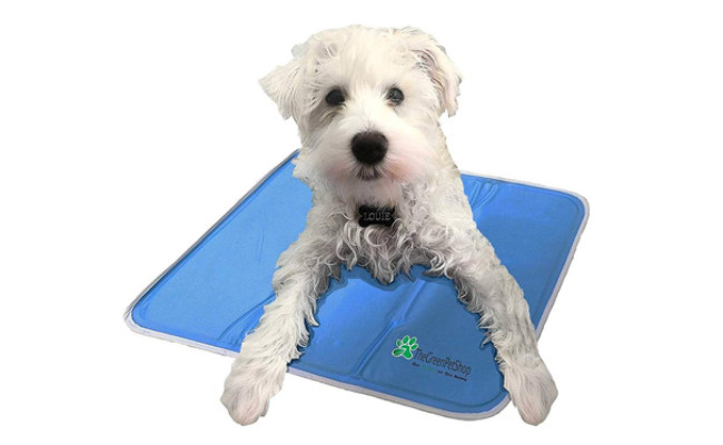 cooling water bed for dogs