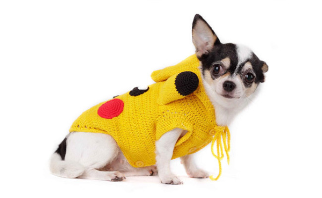 Tonimoz Pokemon Dog Costume