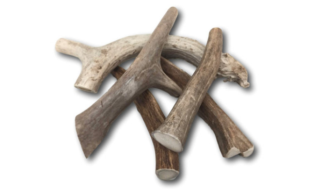 Top Dog Chews Premium Large Antler