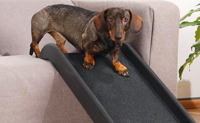 car dog ramp aldi