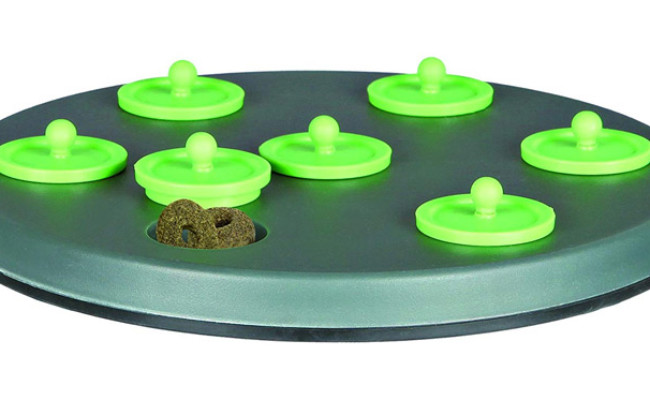 Trixie Snack Board Logic Toy for Ferret
