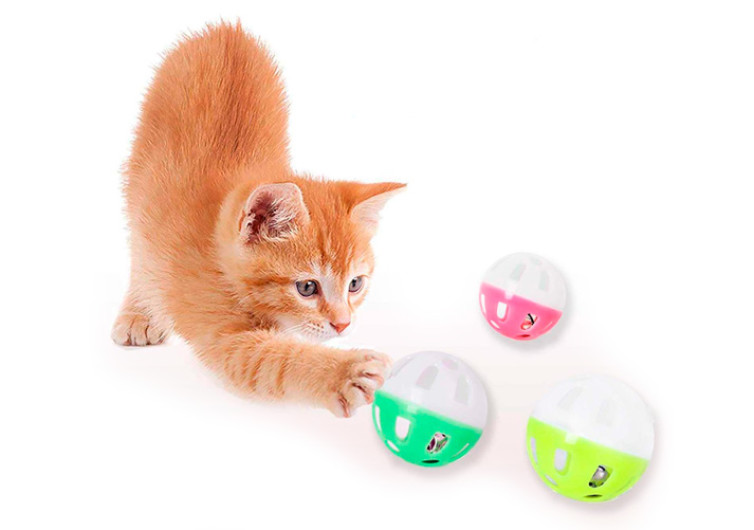 UPSKY Cat Toy Roller