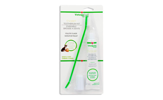 Vetoquinol Enzadent Enzymatic Toothpaste Kit