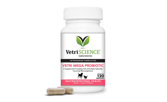 VetriScience Laboratories Digestive Support for Dogs