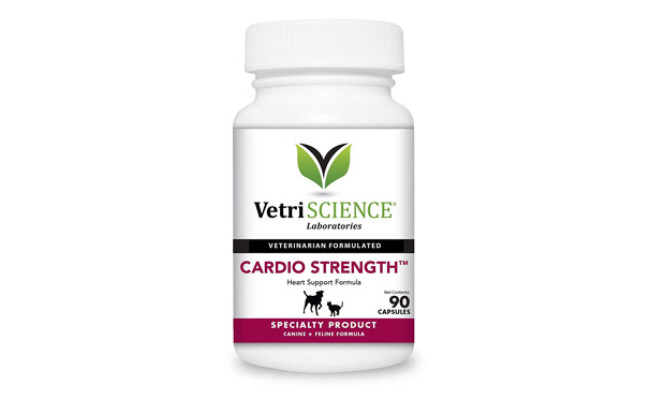 VetriScience Supplement for Older Dogs