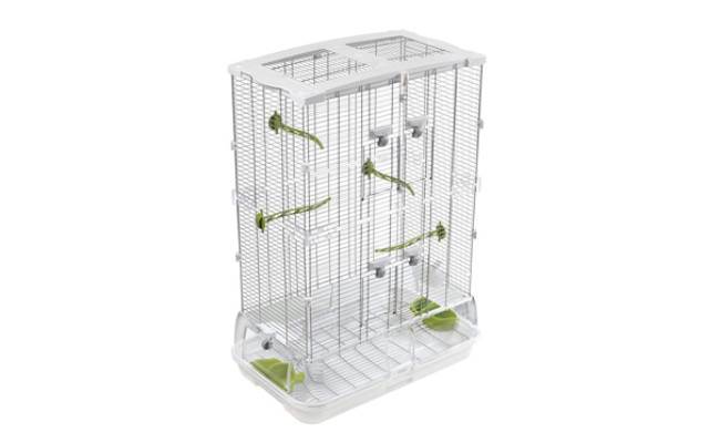 Vision Bird Cage