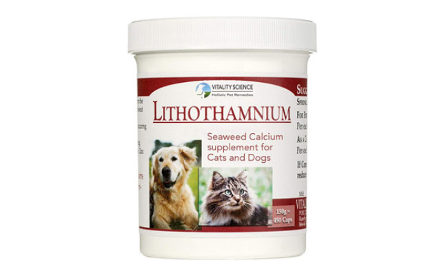 dog calcium liquid