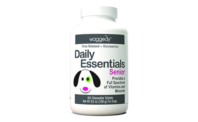 best supplements for senior dogs