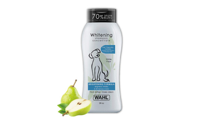 Wahl Shampoo for Dogs