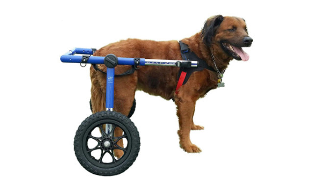 Walkin Wheels Dog Wheelchair