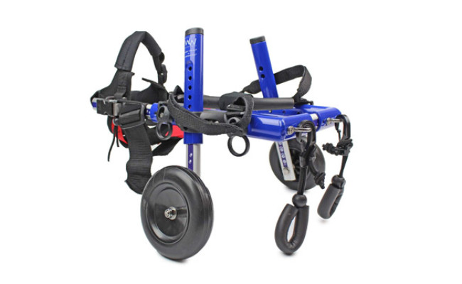 Walkin' Wheels Dog Wheelchair