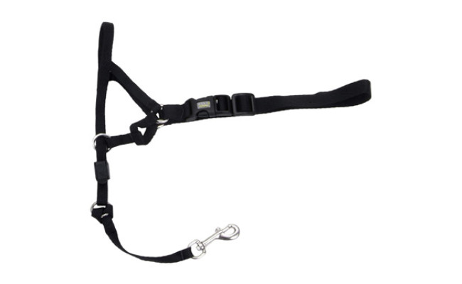 Walk'n Train Coastal Head Halter