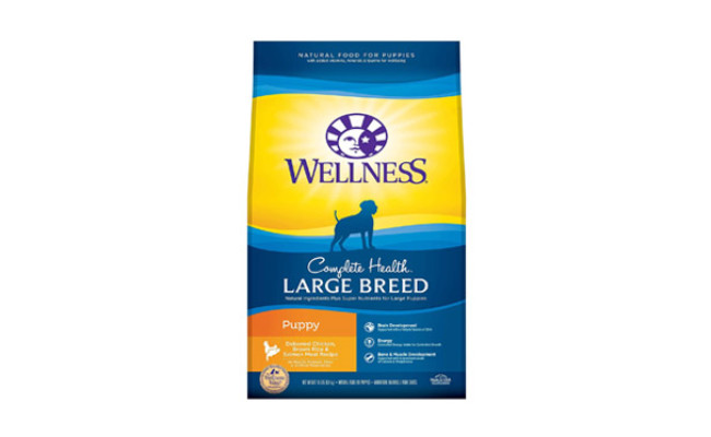 Wellness Natural Pet Food Large Breed Puppy Food