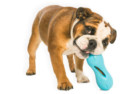 West Paw Interactive Treat Dispensing Dog Toy