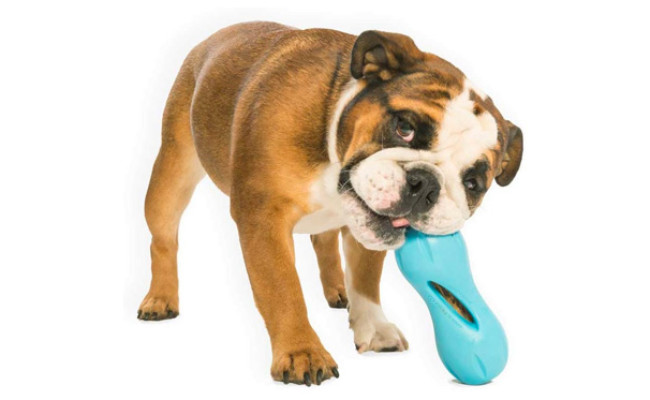 West Paw Interactive Treat Dispensing Dog Toy