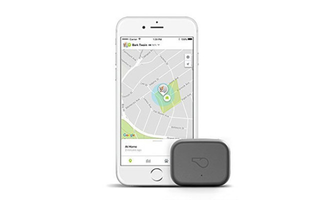 Whistle GPS Pet Tracker