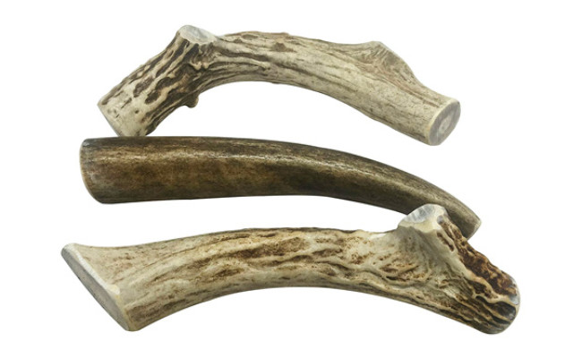 WhiteTail Naturals Deer Antler Dog Chews