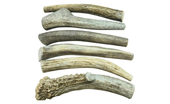 WhiteTail Naturals Deer Antler Dog Chews