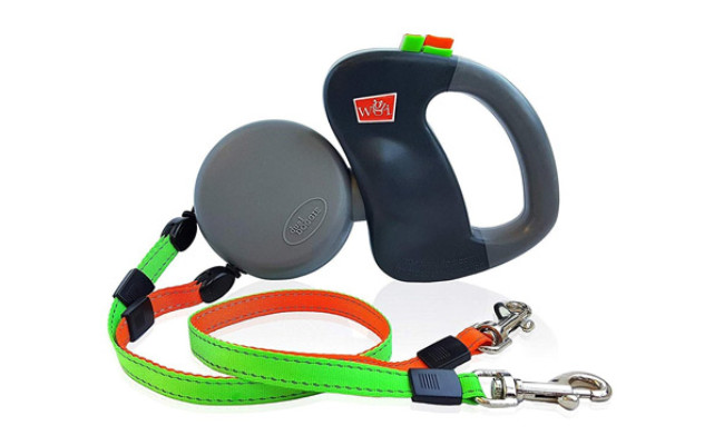 best dual dog leash