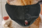 Xbes Nylon Cat Muzzle