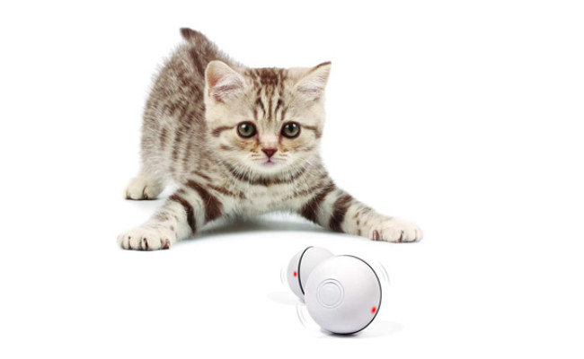 YOFUN Smart Interactive Cat Toy