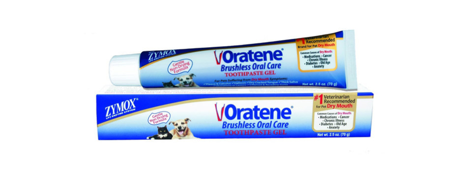 The Best Cat Toothpaste (Review) in 2021 My Pet Needs That