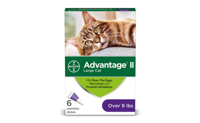 combining flea treatments for cats