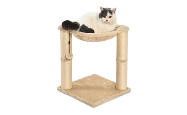 amazon basics cat hammock