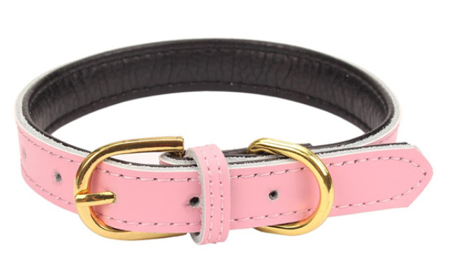 aolove dog collar