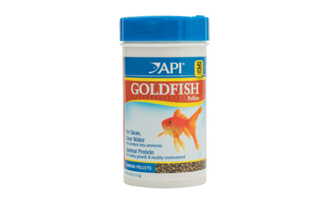 api goldfish food