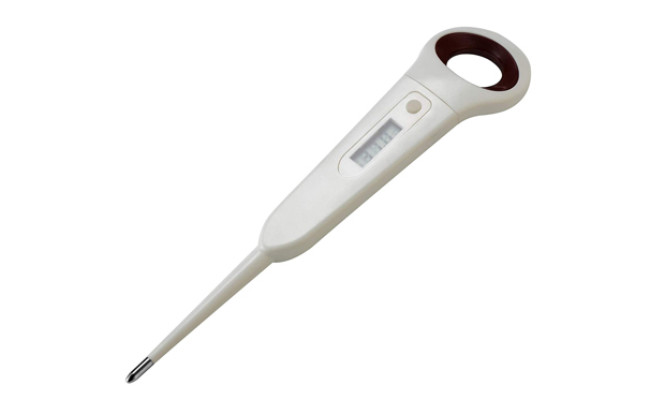 aurynns thermometer for dogs