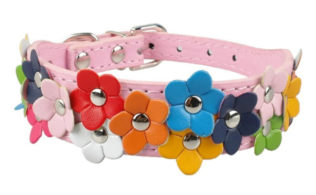 berry pet dog leather collar