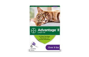 bayer cat flea medicine