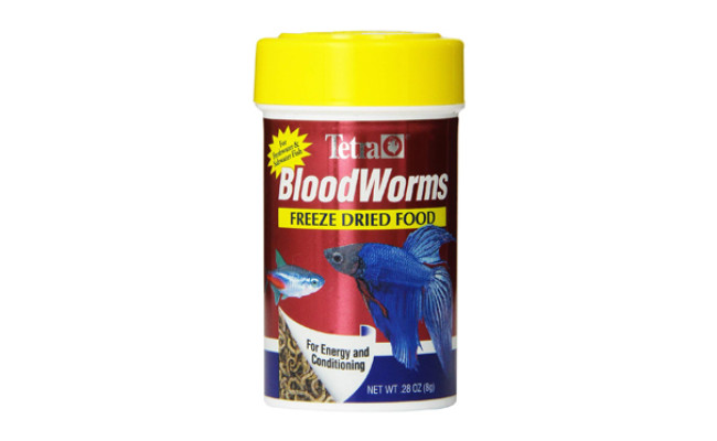 blood worms fish food