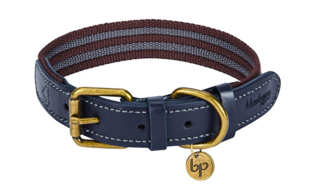 blueberry pet dog collar