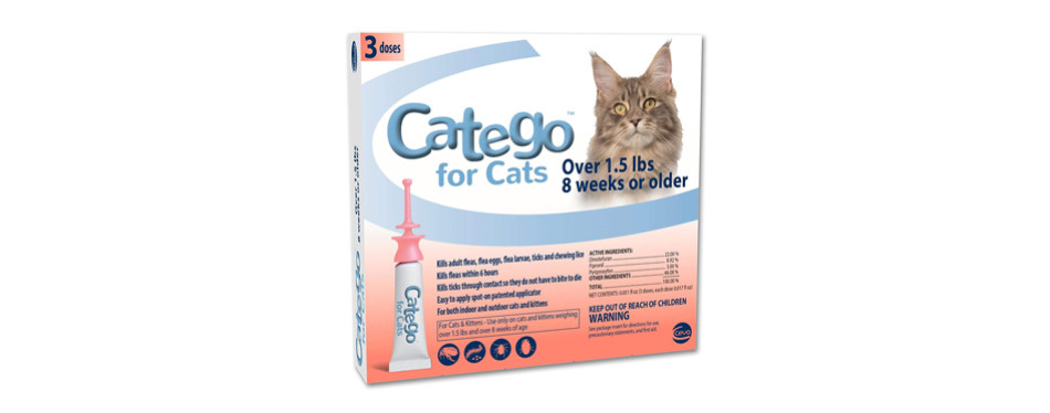The Best Flea Treatments For Cats (Review) in 2021
