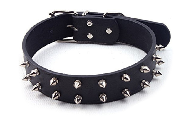 charmsong dog leather collar