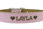 custom catch dog collar