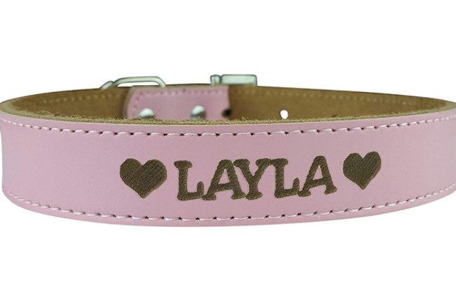 custom catch dog collar