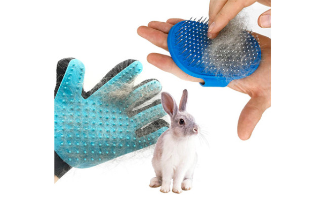 dasksha rabbit grooming kit