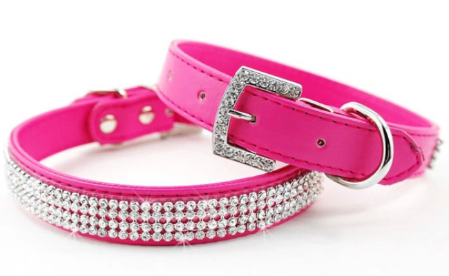 didog crystal leather dog collar