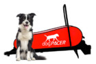 dogPACER LF 3.1 Dog Pacer Treadmill