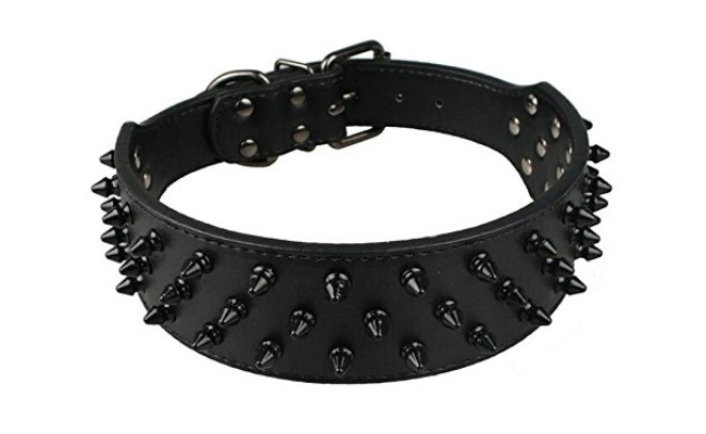 dogs kingdom leather dog collar